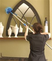 Empregada domestica Externa