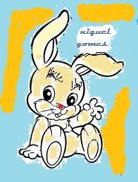 Coelhoes anoes miniaturas