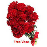 Flowers Spread Happiness in Germany 