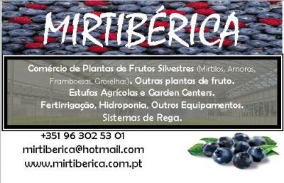 MIRTIBÉRICA – Plantas de Frutos Silvestres, Estufas Agrícolas/Garden Centers, Sistemas de Rega.