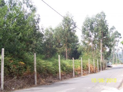 SERZEDO VNG (Zona Industrial Lugar Fontes)