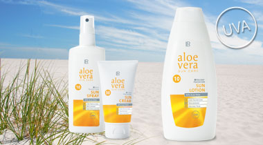 Collaboradores para criar rede commercial