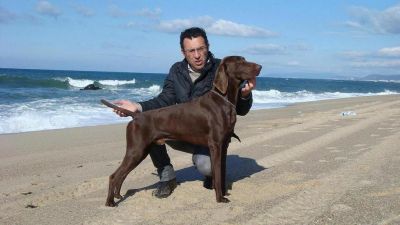 NINHADA BRACOS ALEMANES