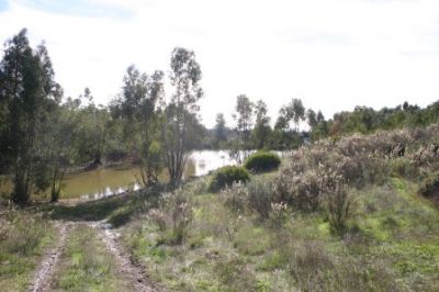 TERRENOS RÚSTICOS EM PORTIMÃO / REF: TERRENO - 1244