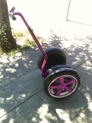 2012 S-Works Epic Carbon 29 SRAM & Custom Purple Segway I2