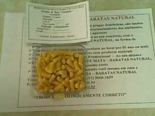  HIGIENE E SAÚDE NO LAR - PRAGAS DOMÉSTICAS  BARATAS 