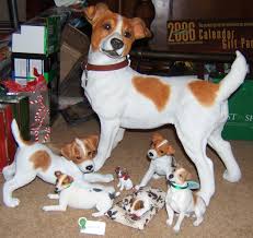 Miniature Jack Russell filhote de cachorro