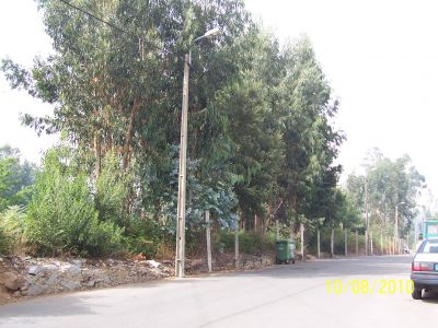 SERZEDO VNG (Zona Industrial Lugar Fontes)