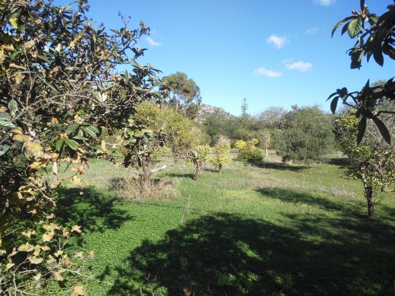 Quinta Algarve Portugal Para Renovação