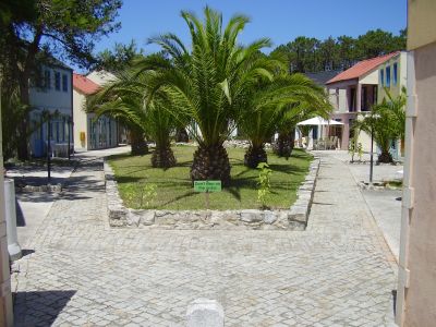 Praia de Quiaios - Bungalows para férias
