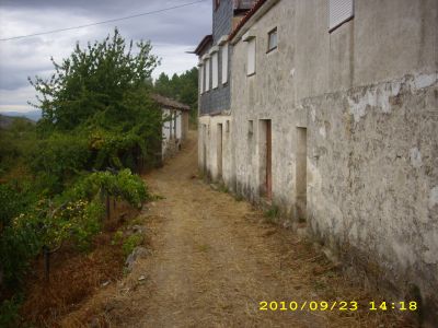 Proprieadade com Casa e terreno