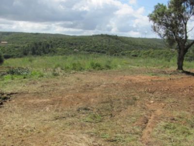 QUINTINHA C/ MORADIA/ ALJEZUR/ REF: 1348