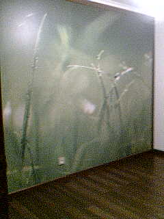 alugo T3 a 5 minutos do ikea de frielas