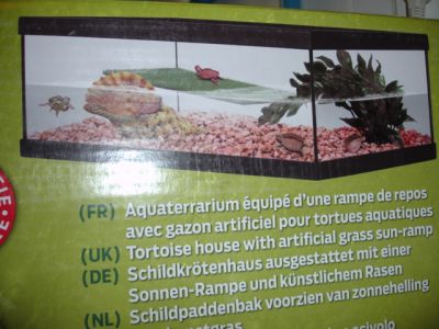 Aquário para tartarugas aquáticas