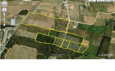 Quintinha perto de Bombarral