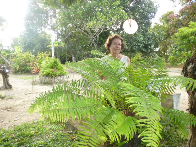 Imóvel rural em Goiana/PE/Brasil