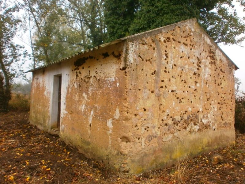 Terreno com viabilidade junto ao Cercal