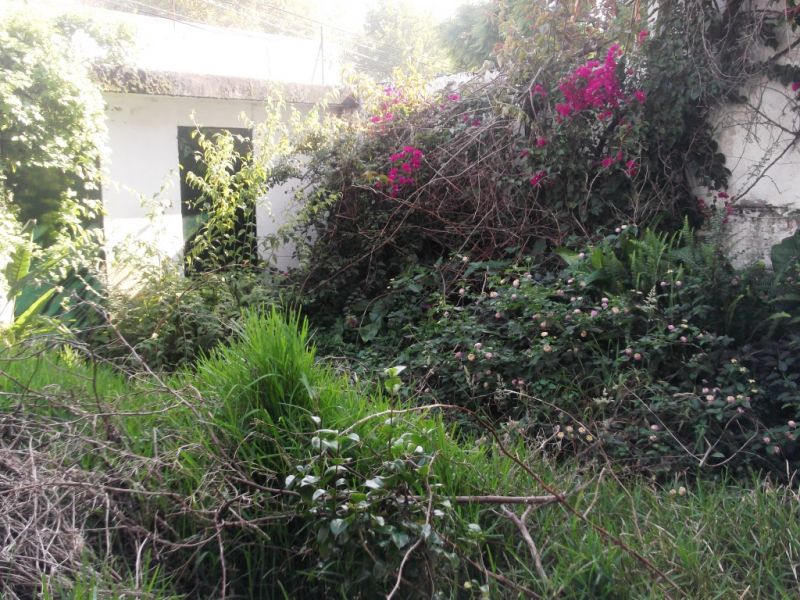 Moradia T5 Antunes Guimarães