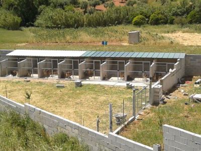 PASTOR ALEMAO DE QUALIDADE - 967888237