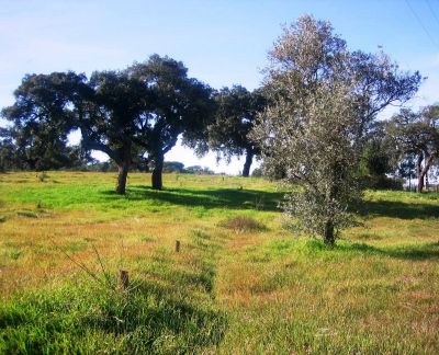 Bela herdade - excelente localização