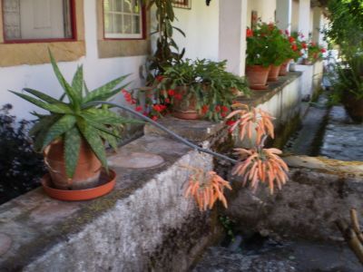 Solar do Séc. XVII para férias