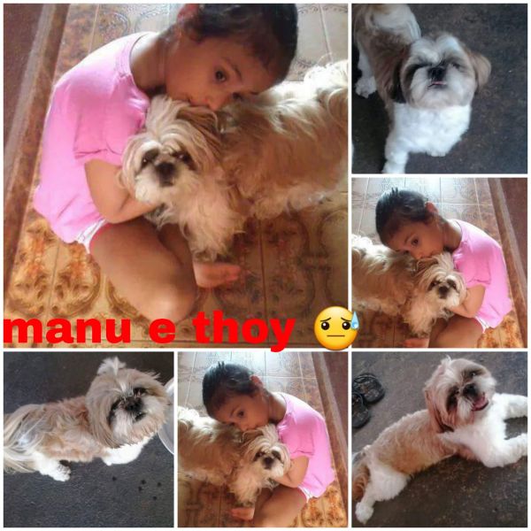 Estamos com saudades. Volte para casa Thoy.