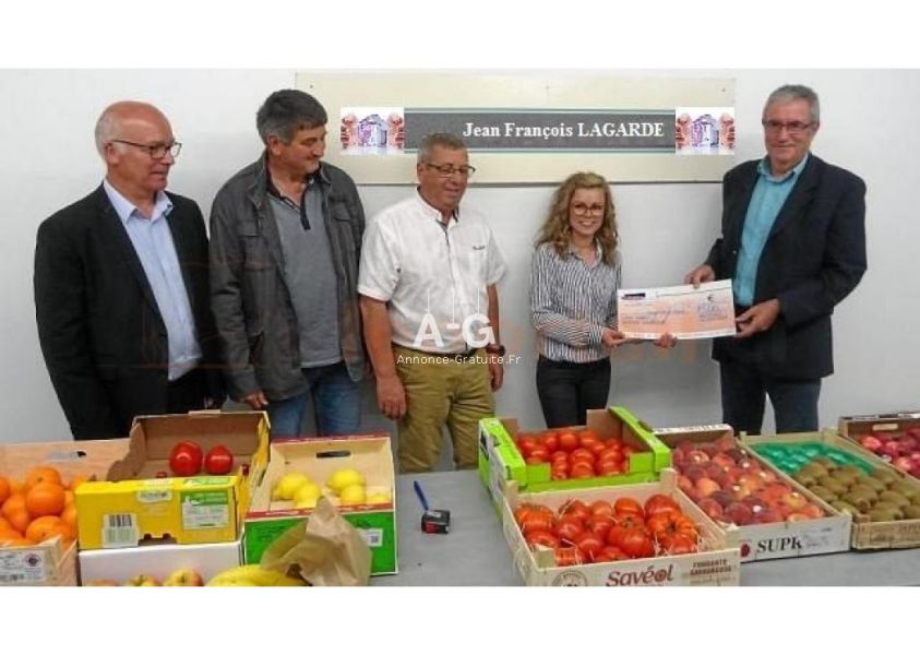 Programa de financiamento para o ano OFERTA DISPONÍVEL EM 48 HORAS Email: bovinpaul435@gmail.com