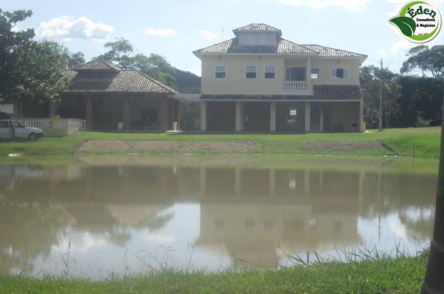 Fazenda pecuária e pupunha Vale do Ribeira, São Paulo, Brasil. 