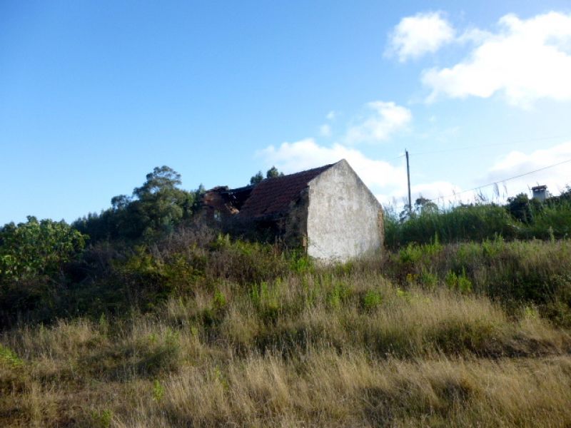 Terreno com 2 artigos, um urbano com moradia em ruínas e outro rústico com o total de 4921 M2.  A 3 