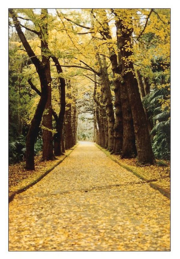 Máquina fotográfica /  2 objetivas  / Vários filtros