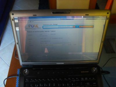 TOSHIBA SATELLITE A-300