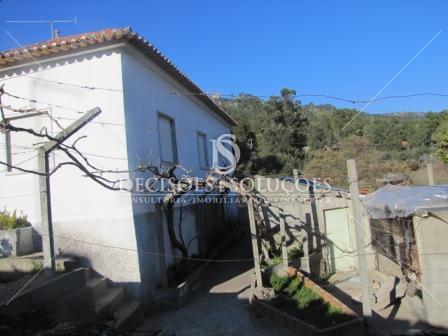 Oportunidade - Quintinha em Louriçal do Campo