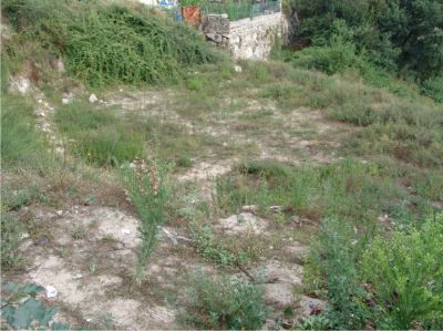 Lote de terreno em Serzedelo