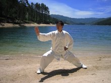 ARTES MARCIAIS CHINESAS - Kung Fu, Wushu, Tai Chi e Qigong
