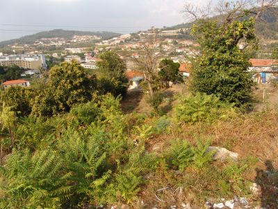 Terreno próximo do centro de Vizela