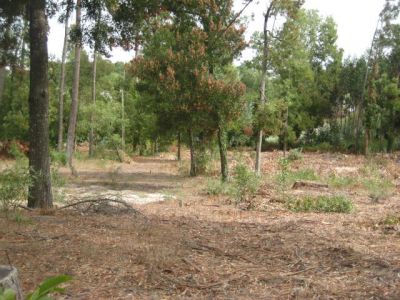 Quinta com mais de 11 mil m2 de terreno, moradia térrea, poço e cavalariça.