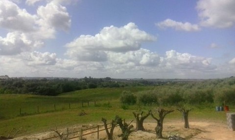 A 45 minutos de Lisboa e 4 km da A1 em Santarém, implantada num terreno com 17.000 m², uma moradia e