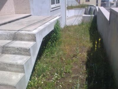 moradia t4 nova em sanguedo ( feria ) veja apenas 120 mil euros