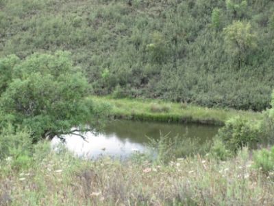 TERRENO RÚSTICO/ PARA VENDA/ PORTIMÃO/ REF:1363