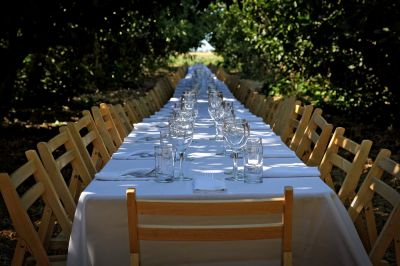 Reuniões de Família e Eventos Familiares