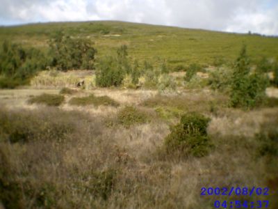  Loures terreno com 18.680m2 para construir um lar de idosos 