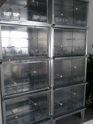 VIVEIROS EM ZINCO - OPTIMO PREÇO - COMO NOVOS - (DESISTENCIA)