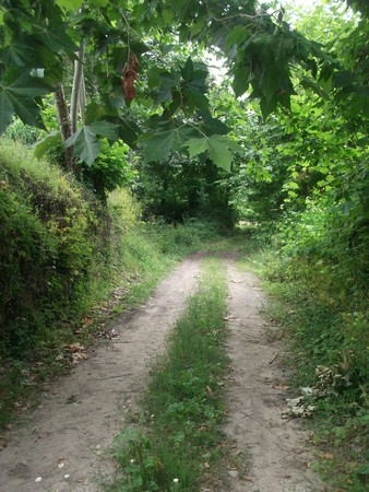 130620.00 Quinta Vila boa de Quires