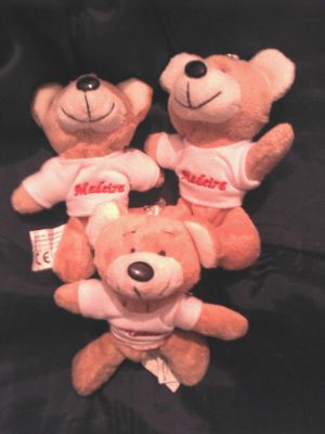 ursinho lindo porta chaves - moedas MADEIRA