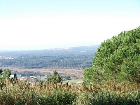 Moradia com 3 assoalhadas 2 quartos com roupeiro 1 é suite, roupeiro no corredor, Despensa sala c/ l