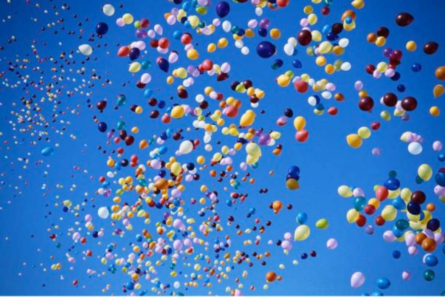 Mundo do Leo: animação e aluguer de insufláveis