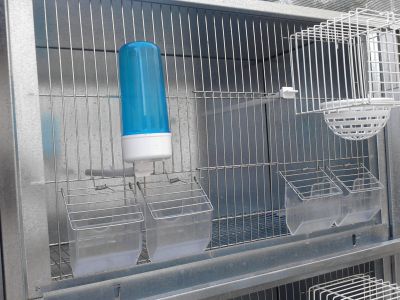 VIVEIROS EM ZINCO - OPTIMO PREÇO - COMO NOVOS - (DESISTENCIA)