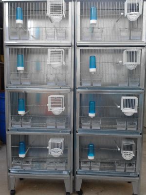 VIVEIROS EM ZINCO - OPTIMO PREÇO - COMO NOVOS - (DESISTENCIA)