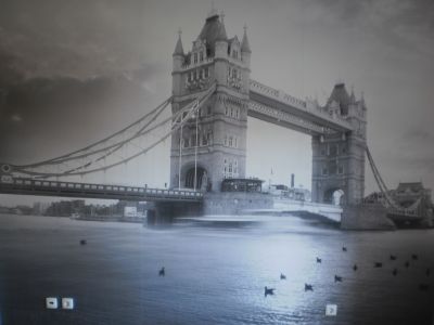 Papel de Parede e Murais, Soalho Flutuante, Pintura de Interiores, Conservação e Remodelação.