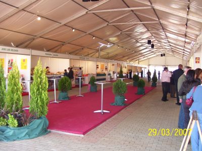 Tendas carpas de 10x3, 3x3, 8x5 etc.passadeiras e mesas desmontaveis para venda 